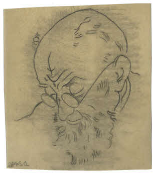 Visualizza l'immagine "FD D 2446"